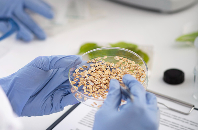 Laboratory food sensitivity testing